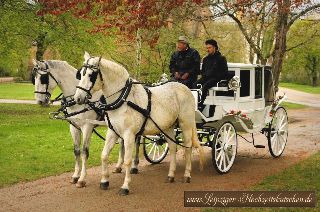 Kutschfahrt zur Hochzeit am Trianon in Zwenkau mit geschlossener weier Hochzeitskutsche