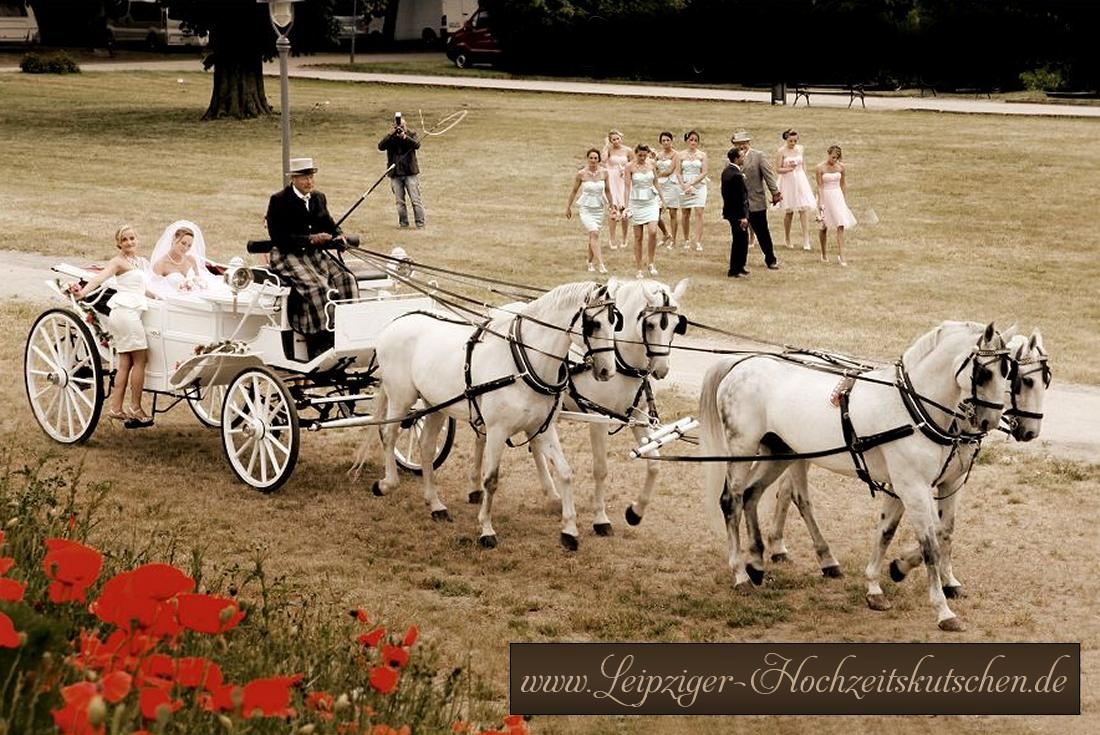 Bild: Hochzeitskutsche weissenfels (4-spnnige Landauer Pferdekutsche)