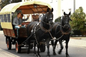 Info zu Kremserfahrten im Raum Leipzig