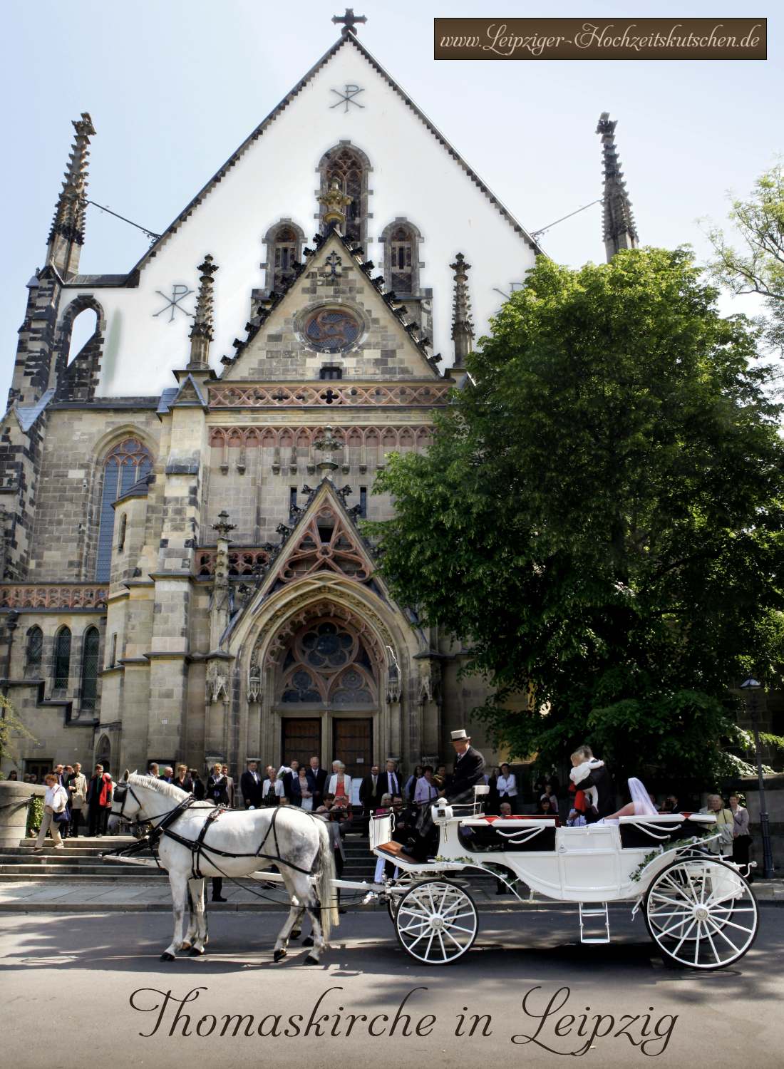 Bild: Weie Hochzeitskutsche vor der Thomaskirche in Leipzig