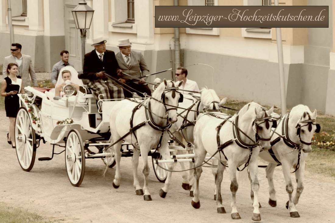 Zwenkauer Vierspaennige weie Landauer Hochzeitskutsche