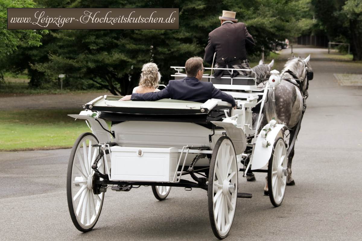 Foto: Hochzeitspaar mit Pferdekutsche  zur Trauung im Botanischen Garten am Oberholz in Gropsna