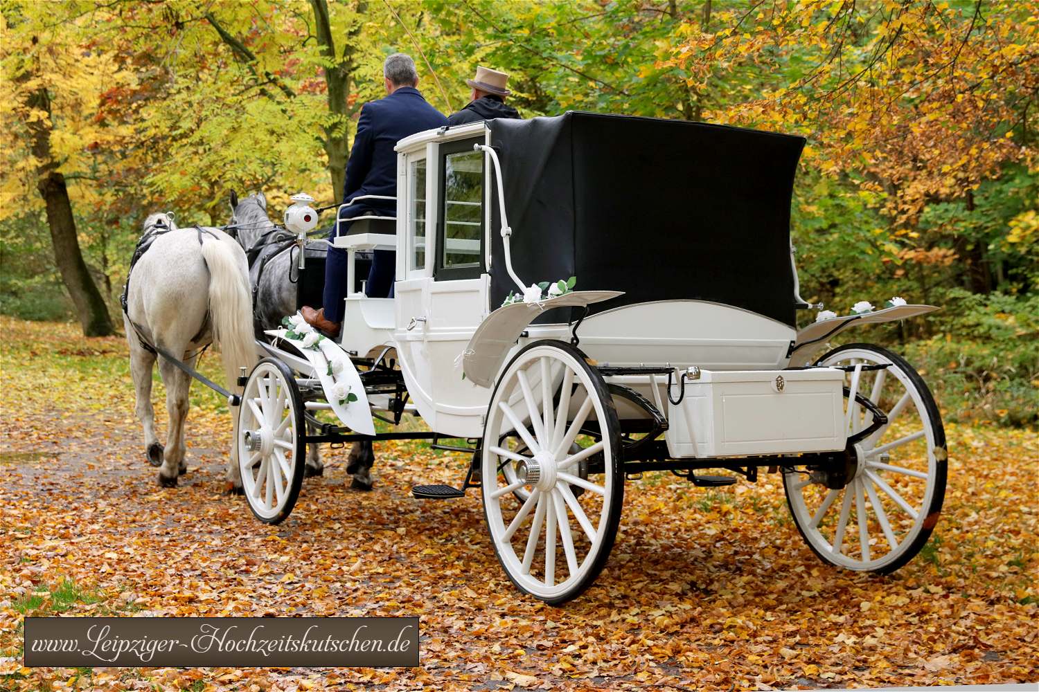 Foto: Weie Glas-Landauer Hochzeitskutsche mit Brautpaar - Kutschfahrt zur Hochzeit in der Villa am Bernsteinsee an der Goitzsche in Bitterfeld-Wolfen mit weier Hochzeitskutsche