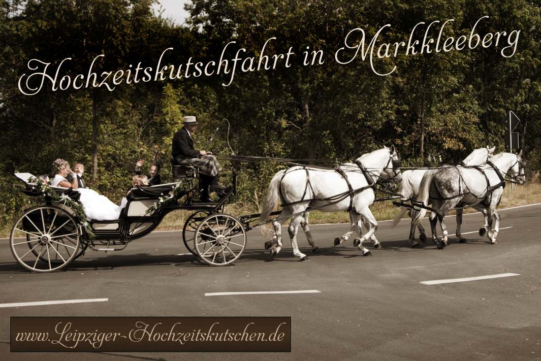 Foto: Kutschfahrt zur Hochzeit am Standesamt Markkleeberg Weies Haus