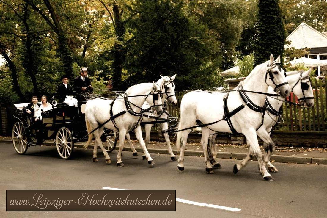 Bild: Grimmaer Hochzeitsfoto mit schwarze Landauer Hochzeitskutsche